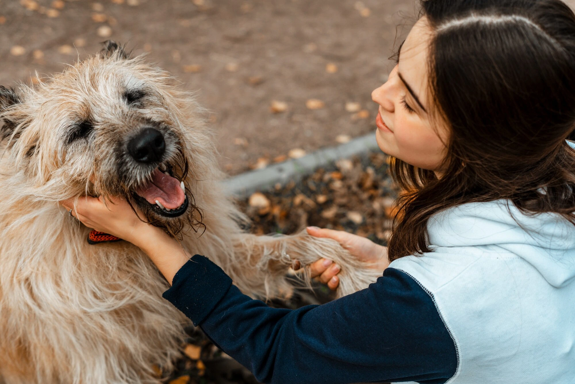 Protecting Animals, Creating Hope