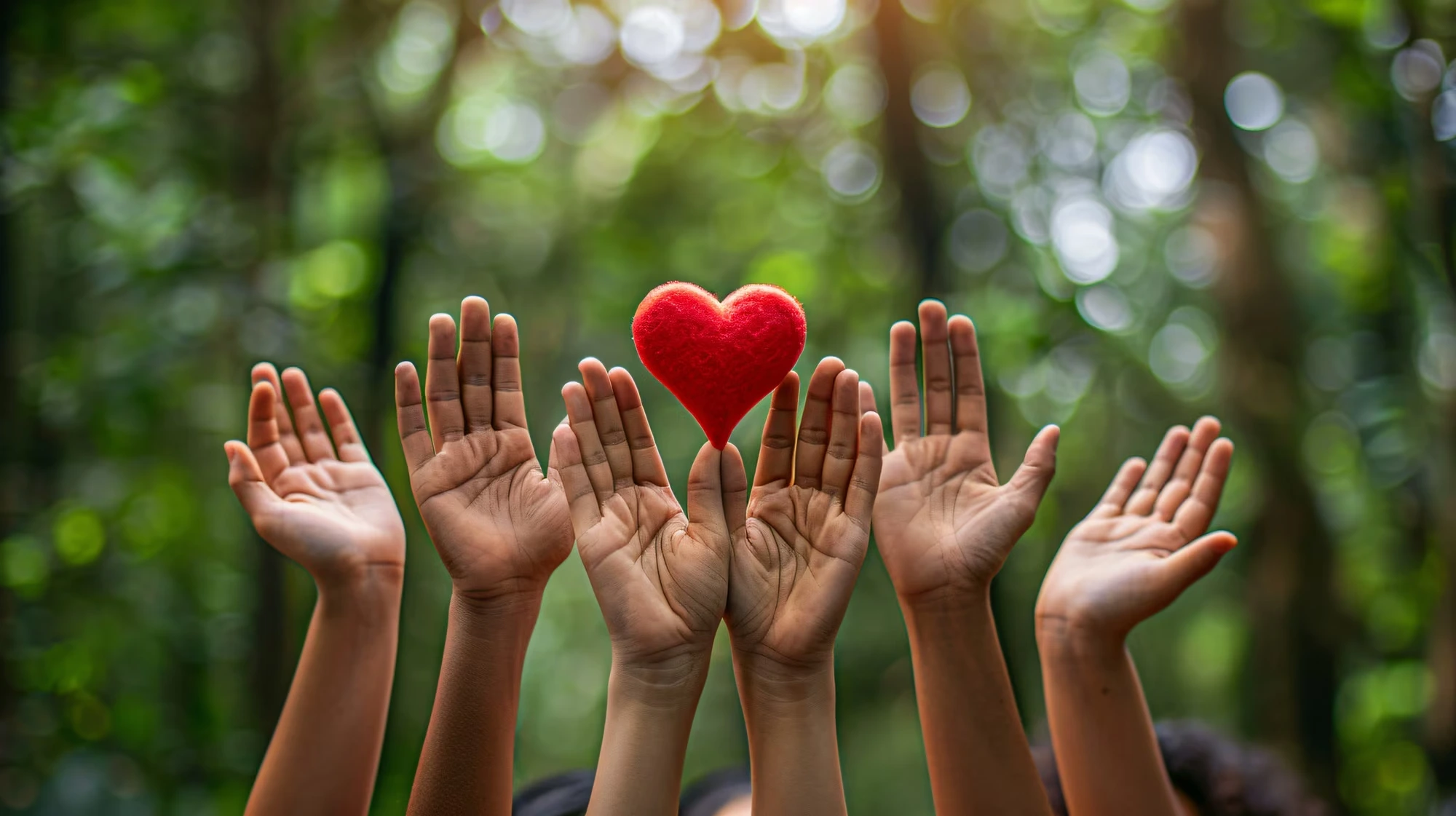 Read more about the article Every Donation Makes a Difference
